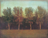 Nature's Bliss I