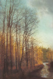 Winter Light I