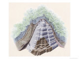 Cut Away of a Maya Ziggurat Covered by Soil and Trees