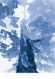 Blue Lace I