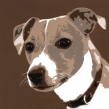 Jack Russell
