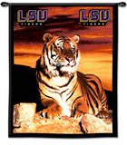 Louisiana State University (LSU) Tigers