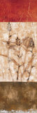 Fresco I