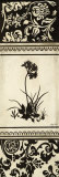 Garden Shadow I