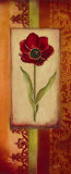 Mediterranean Tulip II