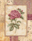Provence Rose I