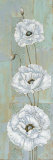 Florentine Poppies