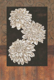 Santorini Dahlias