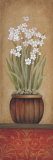 Paperwhites I