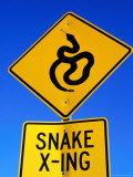 Road Sign for Snake Crossing  Carefree  Arizona