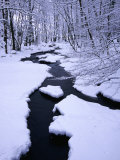 Snow Almost Covering Skaran Creek  Sodersen National Park  Skane  Sweden