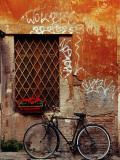 Bicycle Against Wall at Trastavere  Rome  Lazio  Italy