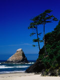 Rocky Outcrop at Heceta Head State Beach  Near Florence  Florence  Oregon