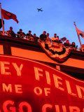 Wrigley Field Baseball Crowd During the Playoffs  Chicago  Illinois