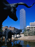 Cattle-Drive Sculptures at Pioneer Plaza  Dallas  Texas