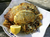 Plate of Whitebait Fritters  New Zealand