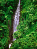 Tiavi Falls  Upolu  Samoa
