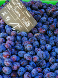Plum Stall in Market on Rue Sainte Claire  Annecy  Rhone-Alpes  France