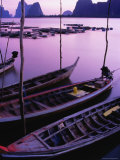 Longtail Boats Bob against Mooring Sticks at Sunset  Ko Panyi  Phang-Nga  Thailand