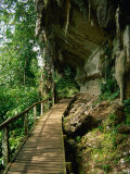 Niah Caves  Sarawak  Malaysia