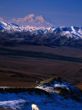 Mount Mckinley with Dall Sheep in Foreground  Denali National Park and Preserve  Alaska
