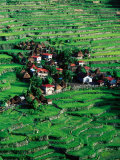 Ricescapes  Philippines