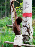 Man Hunting Pigeons with Bow and Arrow Near Fly River  Papua New Guinea
