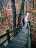 Woman Standing on Boardwalk in Johnson's Shut-Ins State Park During Autumn  Missouri