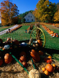 Pumpkin Patch Store  Pownal  Vermont