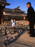 Feeding the Pigeons on the Matsomoto-Jo Causeway  Chubu  Japan