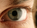 Human Eye  Australia