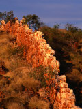 China Wall  Halls Creek  Kimberley  Western Australia