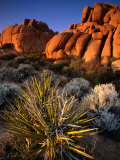 Hidden Valley  Joshua Tree National Park  California