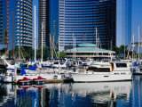 Embarcadero Marina in San Diego  San Diego  California