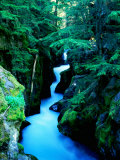 Water Rushing through Avalanche Creek Gorge  Glacier National Park  Montana