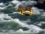 White-Water Rafting in Snake River  Jackson Hole  Jackson  Wyoming