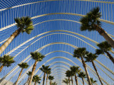 L'Umbracle  The Palm-Lined Promenade at Ciudad de las Artes y las Ciencias  Valencia  Spain