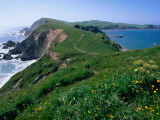 Chimney Rock Dividing Drakes Bay and the Pacific Ocean  Point Reyes National Seashore  California