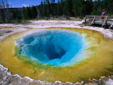 Chromatic Spring in the Norris Geyser Basin  Yellowstone National Park  Wyoming