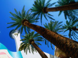 The Stratosphere Hotel and Casino in las Vegas  Las Vegas  Nevada