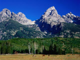 Grand Teton  Near Cottonwood Creek  Grand Teton National Park  Wyoming