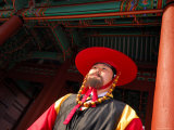 Temple Guard at Deoksegung Palace  Seoul  South Korea