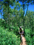 Ranger on Mountain Bike  Steamboat Springs  Colorado