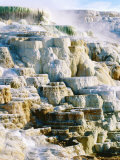 Canary Spring at Mammoth Hot Springs  Yellowstone National Park  Wyoming