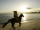 Two Girls Horseriding along Beach at Yarra Bay  Botany Bay  Sydney  New South Wales  Australia