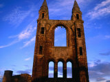 Ruins of St Andrews Cathedral  St Andrews  Fife  Scotland  United Kingdom