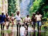 Travelling Magistrates Wading through Stream  Oriomo Plateau  Western  Papua New Guinea