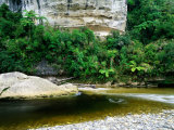 Serene Vista on Lower Reaches of Nile River Near Small Town of Charleston  New Zealand