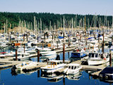 Friday Harbour in Puget Sound  San Juan Island  Washington
