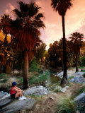 Agua Caliente Indian Reserve Palm Canyon  Upper Canyon  Palm Springs  California